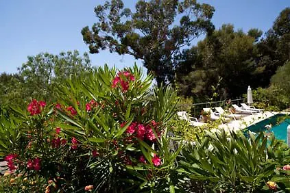Bed & Breakfast Les Terrasses De La Presqu'ile Giens