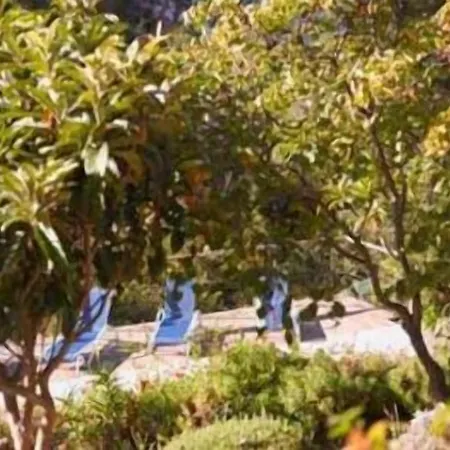 Les Terrasses De La Presqu'ile Bed & Breakfast Giens