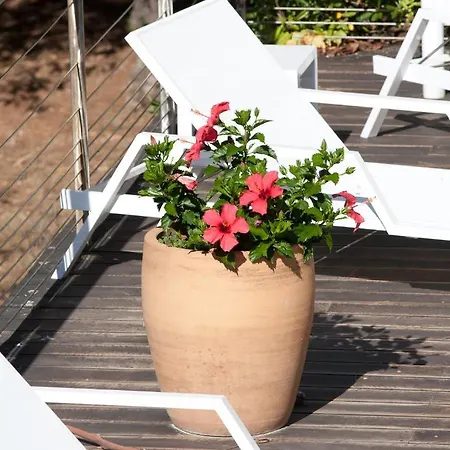 Bed & Breakfast Les Terrasses De La Presqu'ile Giens