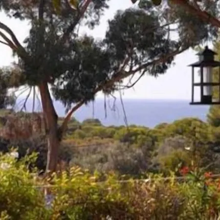 Bed & Breakfast Les Terrasses De La Presqu'ile Giens
